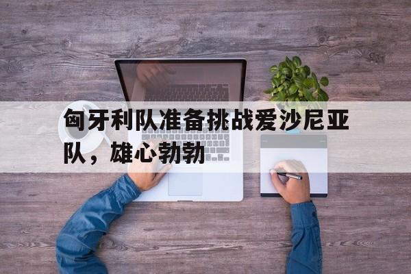 匈牙利队准备挑战爱沙尼亚队，雄心勃勃的简单介绍